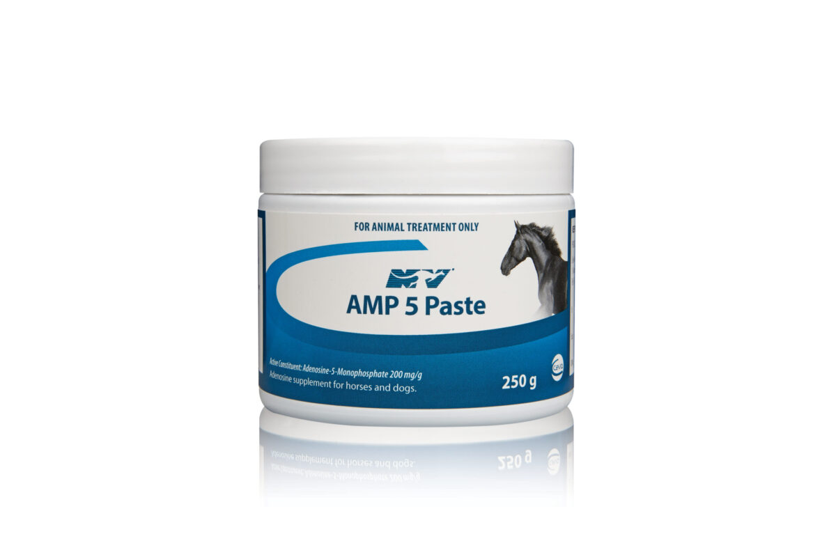 AMP 5 Paste , 250g , Ceva