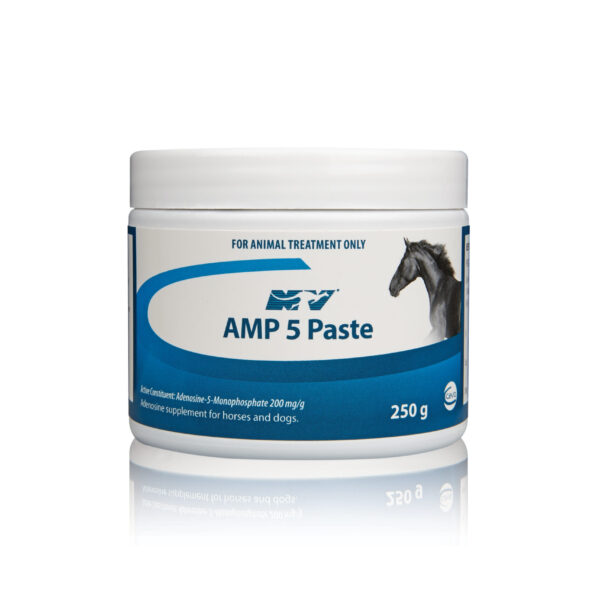 AMP 5 Paste , 250g , Ceva