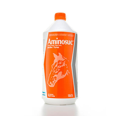 AMINOSUC Jarabe , 1 L