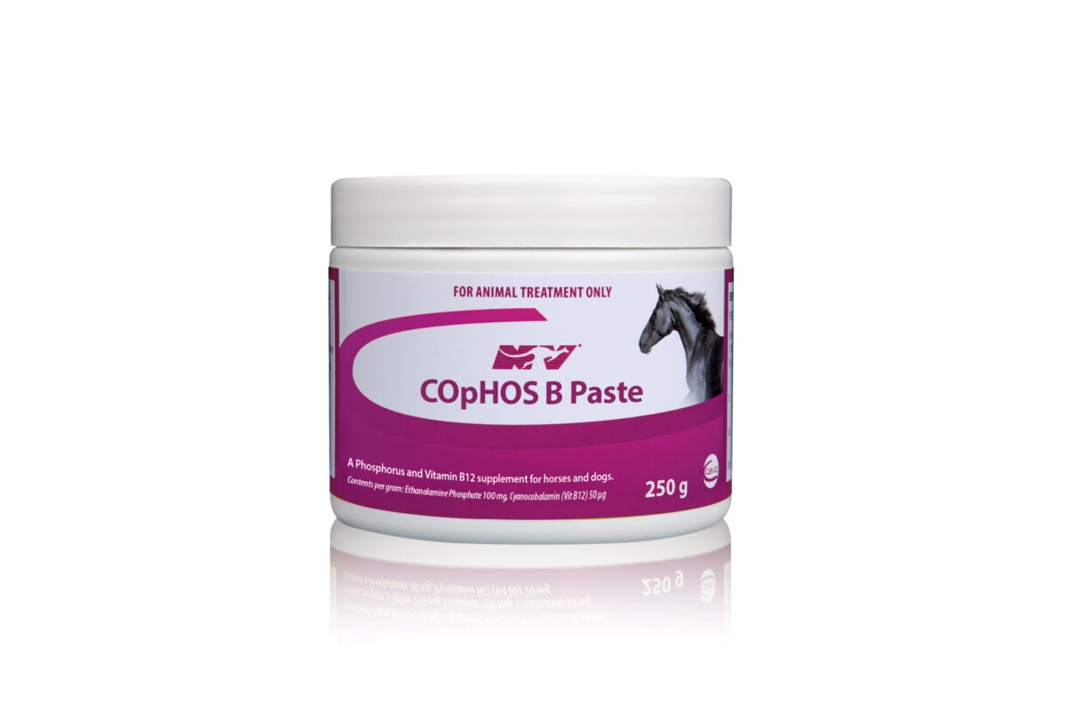 Cophos B Paste , 250g
