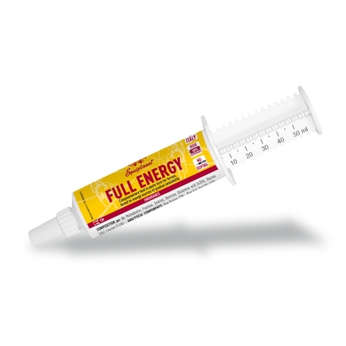FULL ENERGY Paste , 100ml
