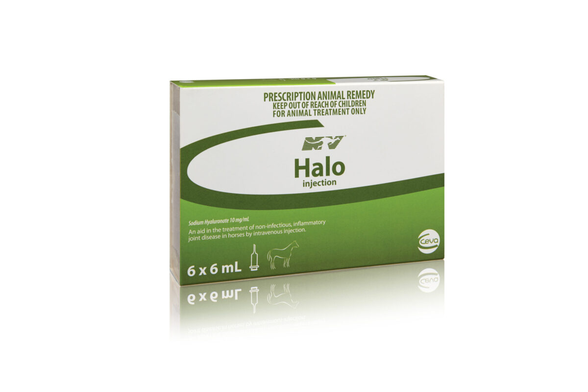Halo IV Inj  , 6ml