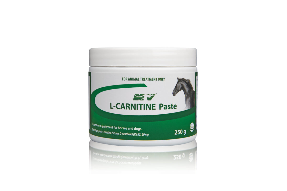 L-Carnitine Paste , 250g