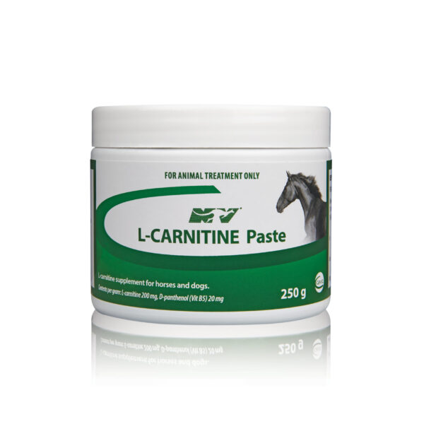 L-Carnitine Paste , 250g