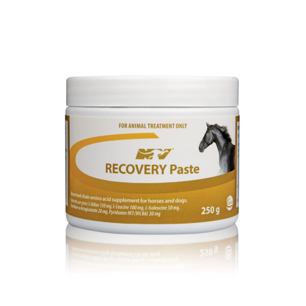 Recovery Paste , 250g