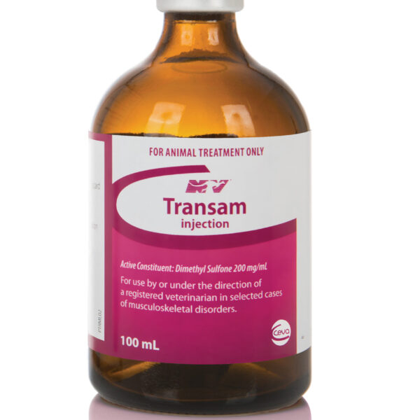 Transam Inj , 100ml