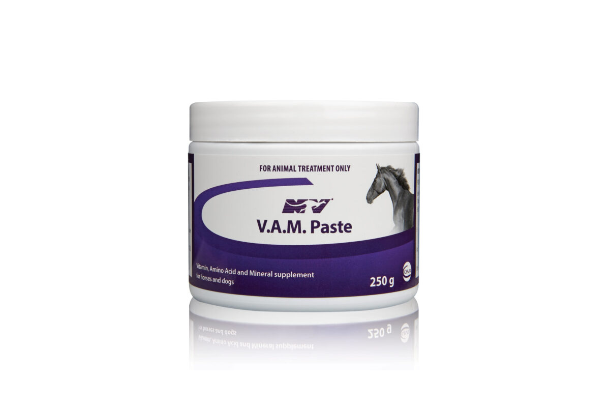 Vam Paste , 250g