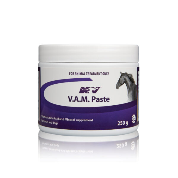 Vam Paste , 250g