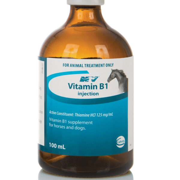 Vitamin B1 Inj , 100ml C