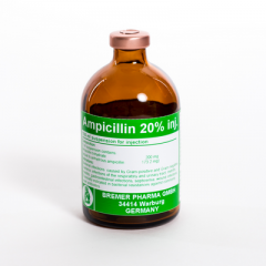 Ampicillin 20% , 100ml