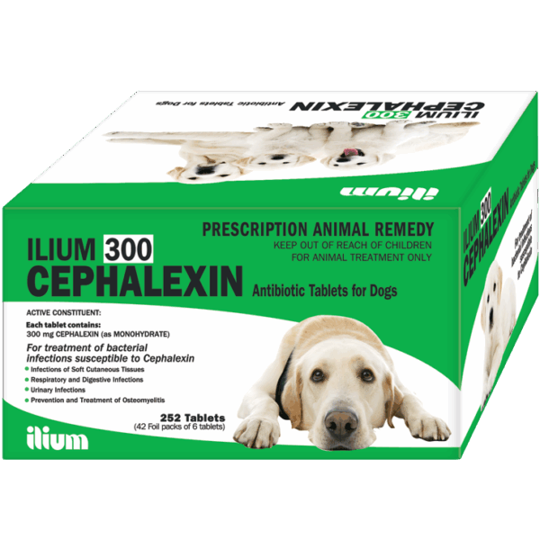CEPHALEXIN ANT 300mg , Stripe/6tab