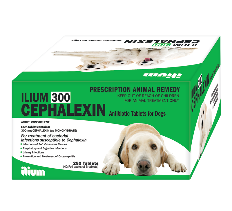 CEPHALEXIN ANT 300mg , Stripe/6tab