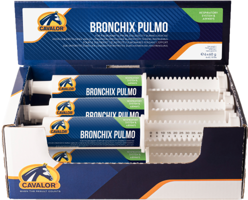 BRONCHIX PULMO Paste , 60g