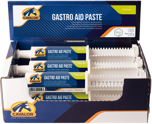 Gastro 8 Paste , 60g