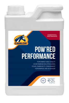 Pow’red Performance , 2 L