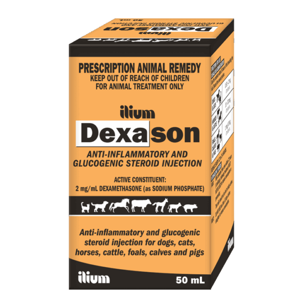 DEXASON Inj , 50ml