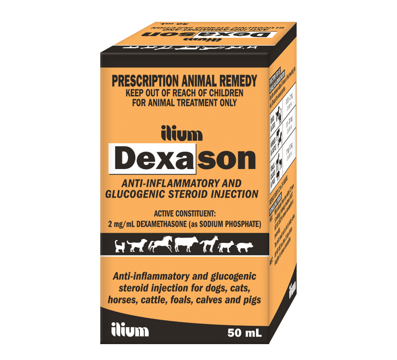 DEXASON Inj , 50ml