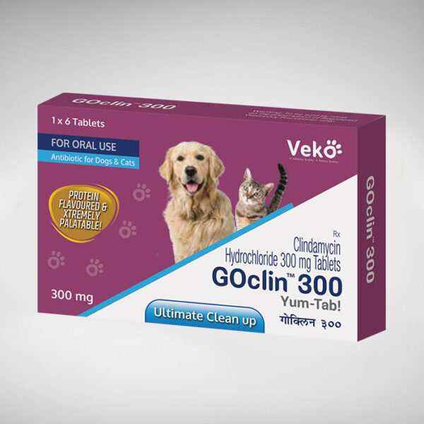 Goclin 150mg , 6Tab/pk