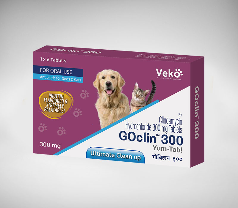 Goclin 150mg , 6Tab/pk