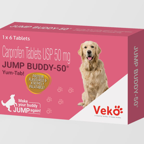 Jump Buddy 50mg , Box 6tab