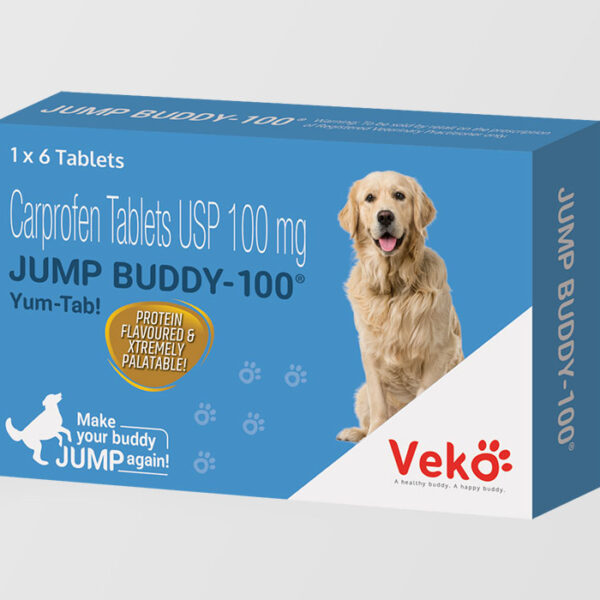 Jump Buddy 100mg , Box 6tab
