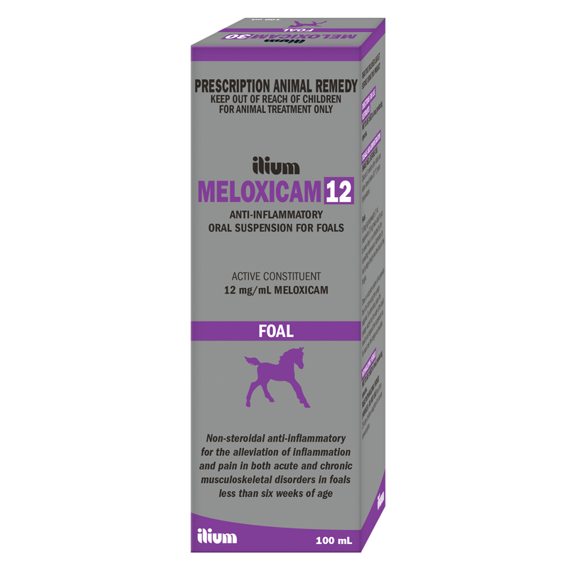 Meloxicam 12 for Foals , 100ml