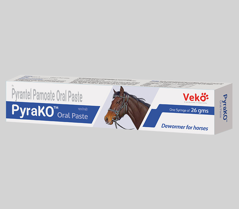 Pyrako Oral Paste , 26g