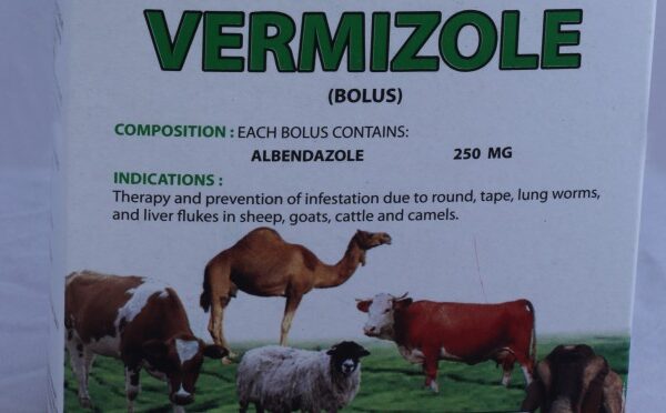 Vermizole Bolus 250mg , 5Tab/ Stripe
