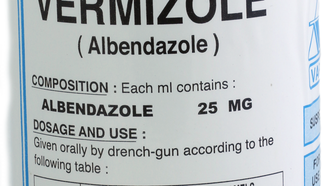 Vermizole 2.5% Sol , 1 L