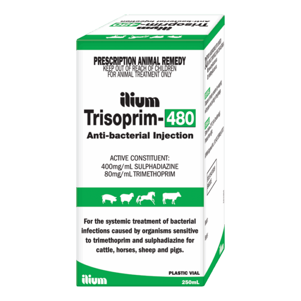 Trisoprim 480 Pet , 100ml