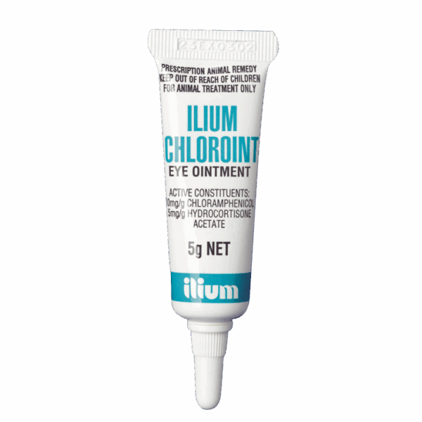 CHLOROINT , 5g