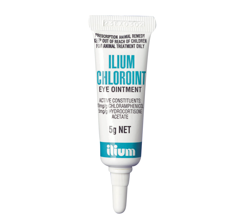 CHLOROINT , 5g