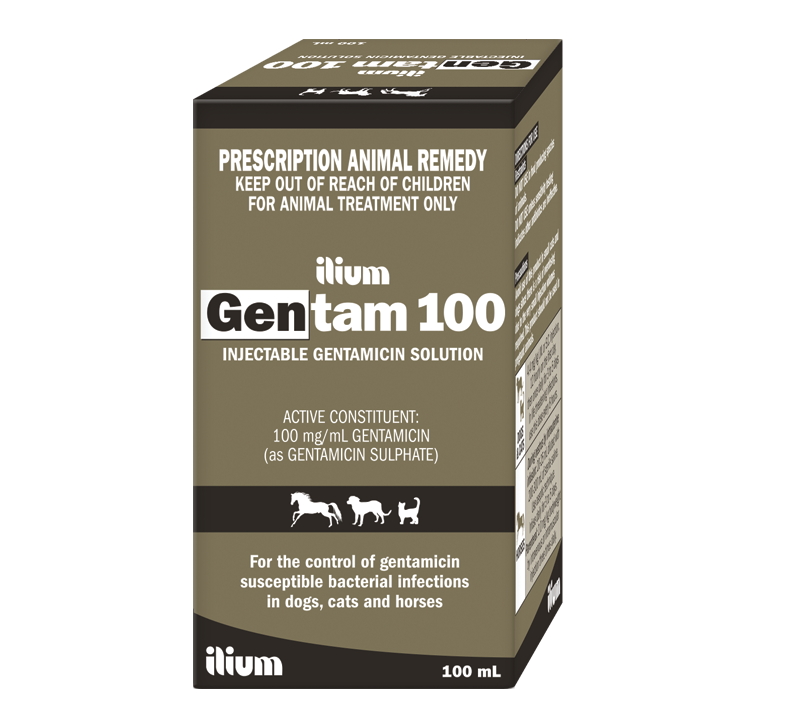 Gentam 100 Mg Inj , 100ml