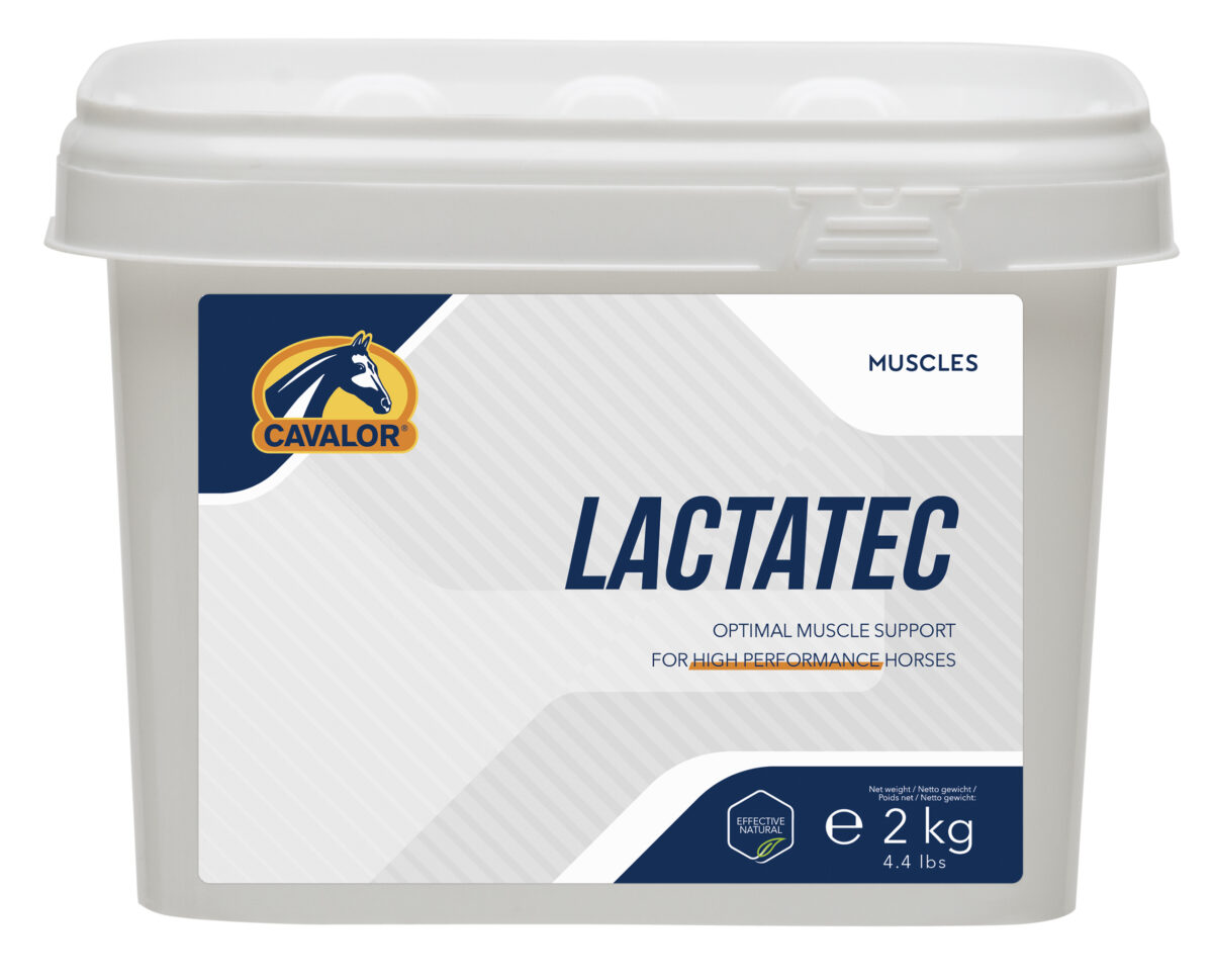 Lactatec , 2kg