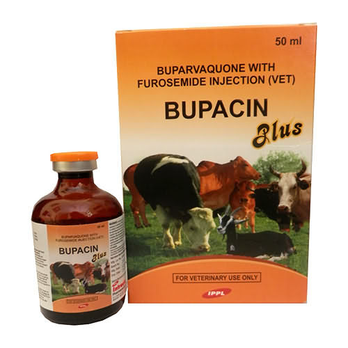 Bupacin Plus , 50ml