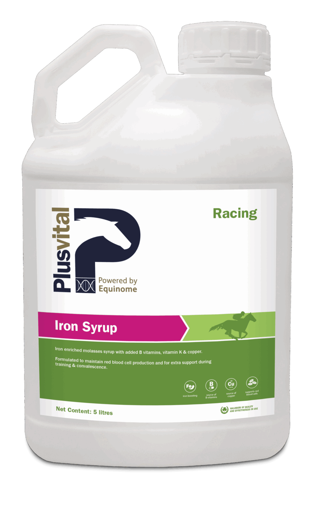 Plusvital Iron Syrup , 5 L