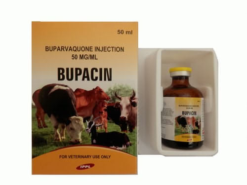Bupacin , 50ml