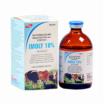 Imoly 10% Inj , 100ml