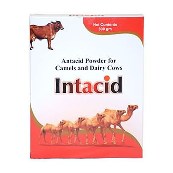 INTACID , 300g