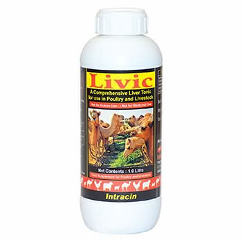 Livic , 1 L