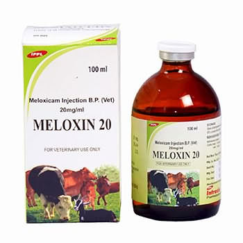 Meloxin20 Inj , 100ml