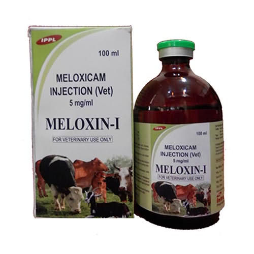 Meloxin - I 5mg/ml Inj , 100ml