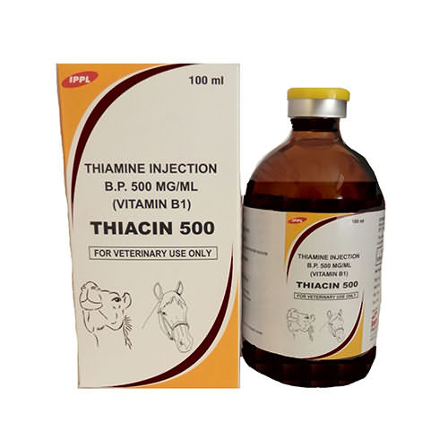 Thiacin-500 Inj , 100ml