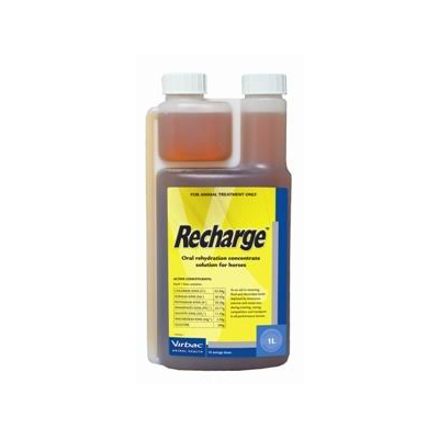 Recharge Dog , 500ml