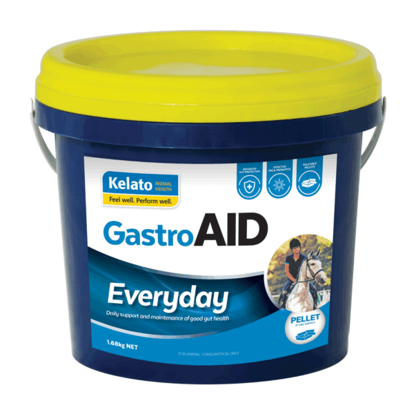 Gastro  Aid  Everyday  , 1.68 Kg